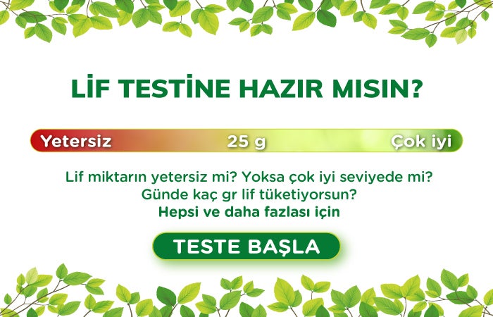 optifibre lif testi