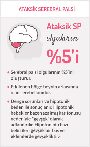 Serebral Palsi Nestle Health Science Nestle Health Science