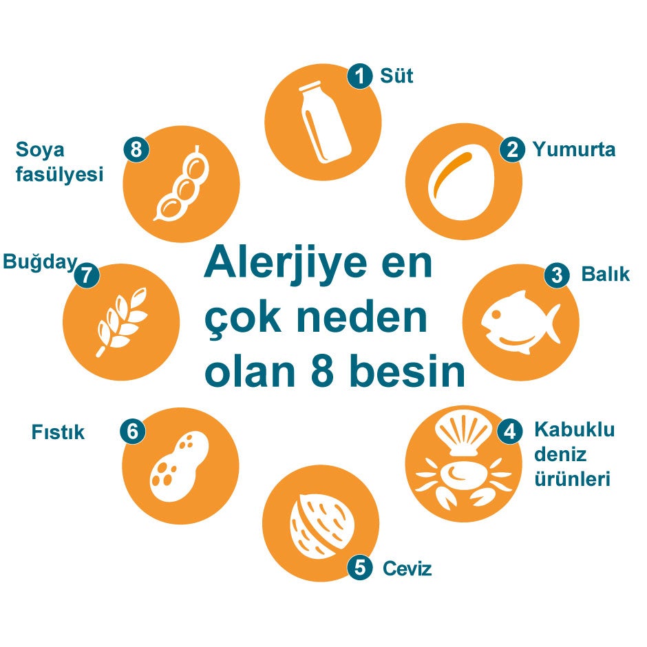 En Çok Bilinen 8 Gıda Alerjeni